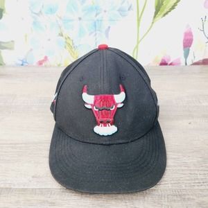 Chicago Bulls BMO Harris Snapback Hat Artist series by Ariel Sinha 2021/22